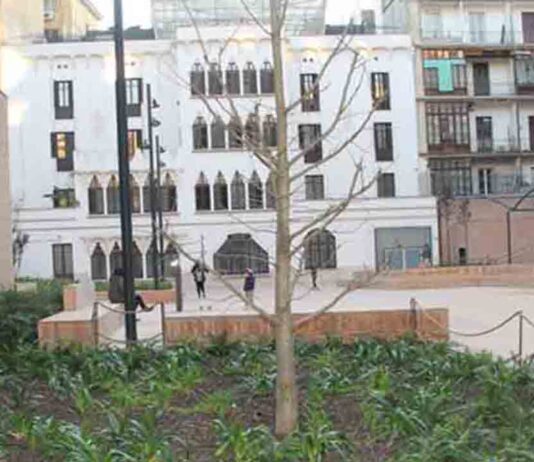 Abre el patio interior de la Illa Macaya, un nuevo jardín en el Eixample Abre el patio interior de la Illa Macaya, un nuevo jardín en el Eixample