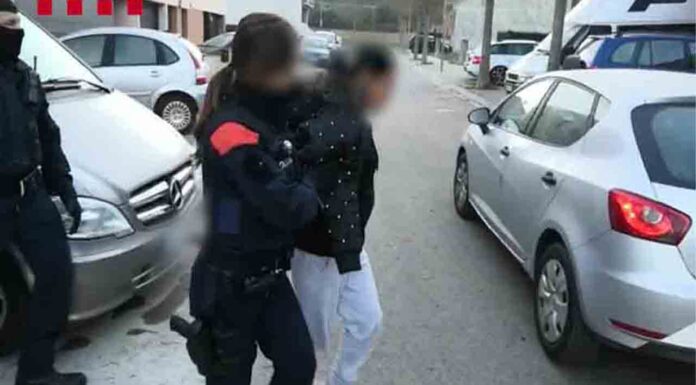 Detenidas ocho personas por robos violentos en tiendas de telefonía Detenidas ocho personas por robos violentos en tiendas de telefonía