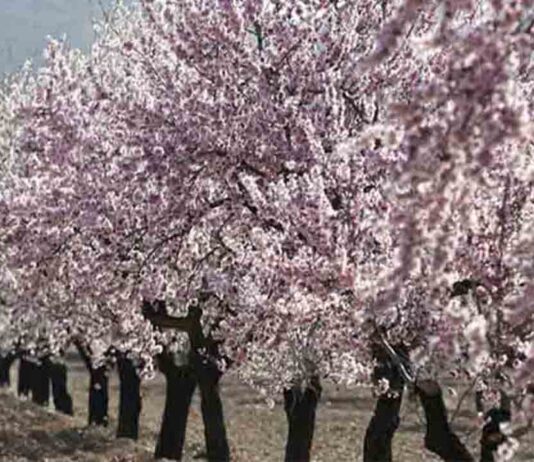 Estudios del cambio climático en los ciclos de la naturaleza Estudios del cambio climático en los ciclos de la naturaleza