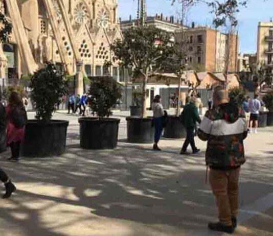 Seis muertos y casi 500 positivos más por coronavirus en Catalunya Seis muertos y casi 500 positivos más por coronavirus en Catalunya