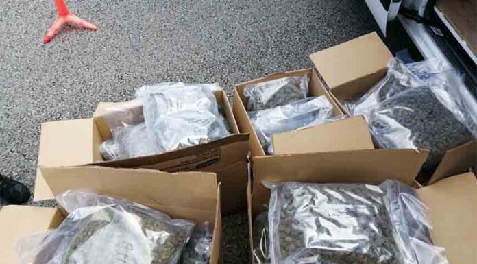 Detenido en Martorell un hombre con 37 kilos de cogollos de marihuana Detenido en Martorell un hombre con 37 kilos de cogollos de marihuana