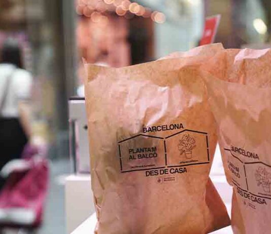 Campaña «Planta’m al balcón» para dar apoyo a los mercados municipales Campaña "Planta'm al balcón'' para dar apoyo a los mercados municipales