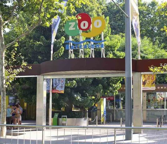 El Zoo de Barcelona vuelve a abrir con aforo limitado al 50% El Zoo de Barcelona vuelve a abrir con aforo limitado al 50%