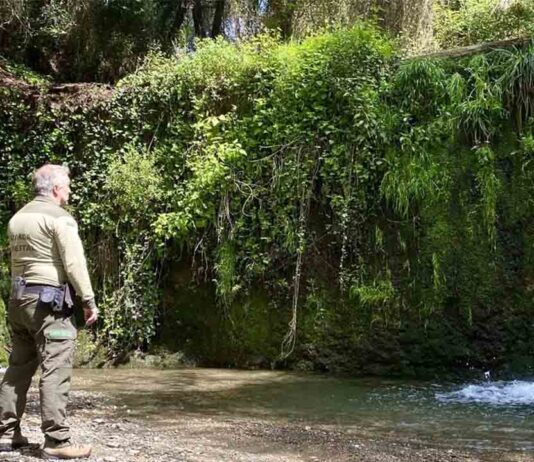 Llega el verano al Parque Natural de Collserola Llega el verano al Parque Natural de Collserola y es necesario extremar las precauciones