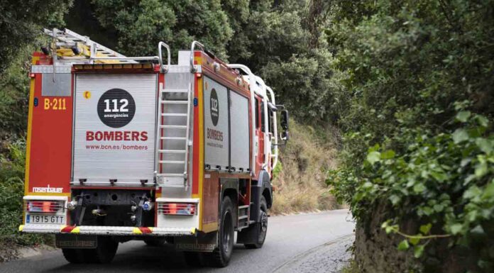 Los Bomberos de Barcelona ya están preparados para la campaña forestal de este año Los Bomberos de Barcelona ya están preparados para la campaña forestal de este año