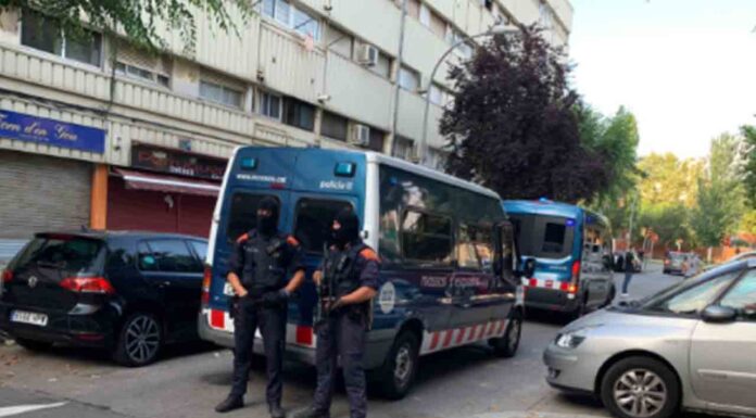Macrooperativo de 500 Mossos en La Mina contra un grupo de delitos violentos Macrooperativo de 500 Mossos en La Mina contra un grupo de delitos violentos