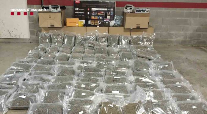 Detenido un hombre en el Garraf por transportar 100 kilos de cogollos de marihuana Detenido un hombre en el Garraf por transportar 100 kilos de cogollos de marihuana
