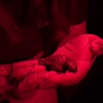 Nacen 40 crías de tortuga boba en Barcelona en la segunda noche de eclosión