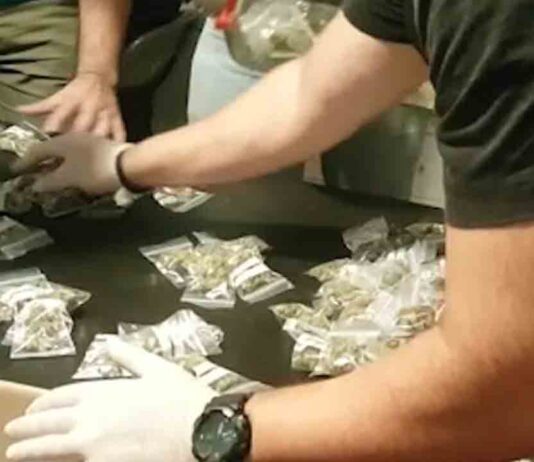 Detenidos tres responsables de una asociación de cannabis en Hospitalet Detenidos tres responsables de una asociación de cannabis en Hospitalet de Llobregat