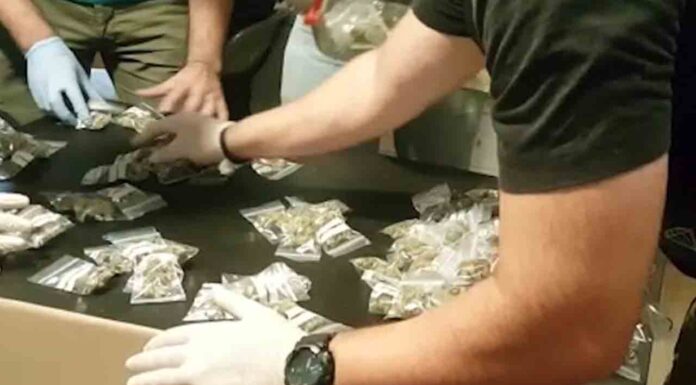 Detenidos tres responsables de una asociación de cannabis en Hospitalet Detenidos tres responsables de una asociación de cannabis en Hospitalet de Llobregat