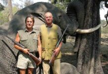 El Ayuntamiento de Barcelona revoca la Medalla de Oro de la Ciudad a Juan Carlos I El Ayuntamiento de Barcelona revoca la Medalla de Oro de la Ciudad a Juan Carlos I