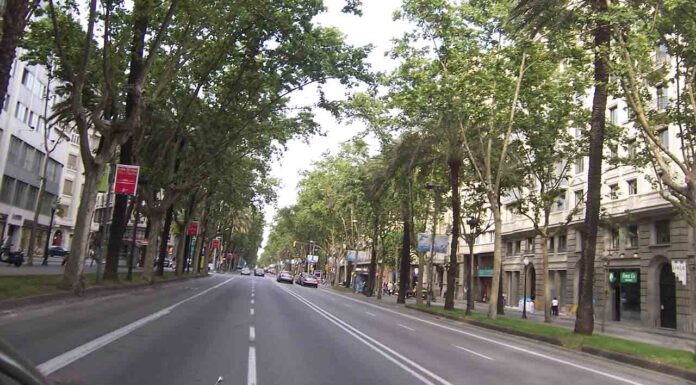 Comienzan las obras del colector de la avenida Diagonal Comienzan las obras del colector de la avenida Diagonal