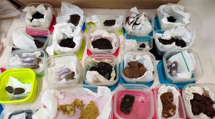 Intervienen 8 kilos de estupefacientes en una asociación cannábica en Gràcia Intervienen 8 kilos de estupefacientes en una asociación cannábica en Gràcia