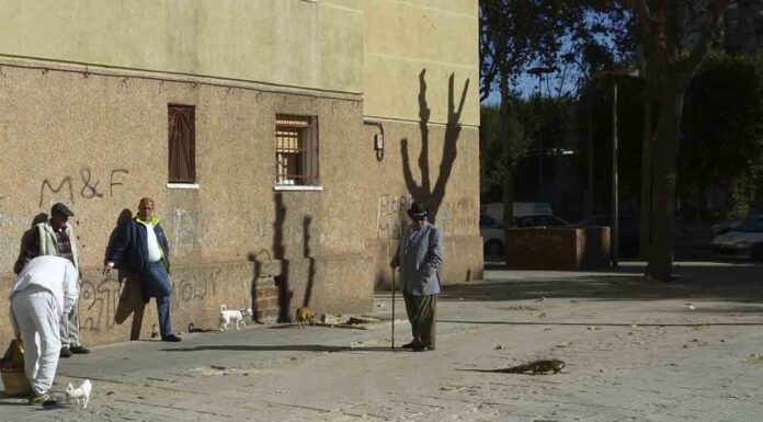 Agreden a 4 agentes de la Guàrdia Urbana de Badalona al descubrir una plantación de marihuana Agreden a 4 agentes de la Guàrdia Urbana de Badalona al descubir una plantación de marihuana