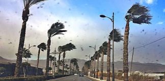 Aviso de Protección Civil ante un episodio de viento intenso Aviso por fuerte viento este fin de semana en Catalunya