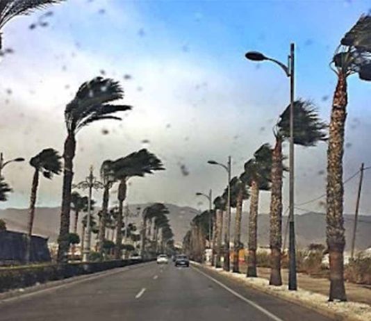Aviso de Protección Civil ante un episodio de viento intenso Aviso por fuerte viento este fin de semana en Catalunya