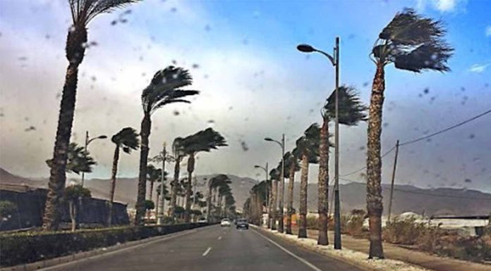 Aviso de Protección Civil ante un episodio de viento intenso Aviso por fuerte viento este fin de semana en Catalunya