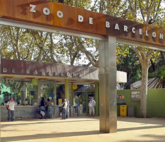 Constituido el Comité Científico y de Ética del Zoo de Barcelona Constituido el Comité Científico y de Ética del Zoo de Barcelona