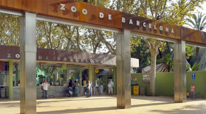 Constituido el Comité Científico y de Ética del Zoo de Barcelona Constituido el Comité Científico y de Ética del Zoo de Barcelona