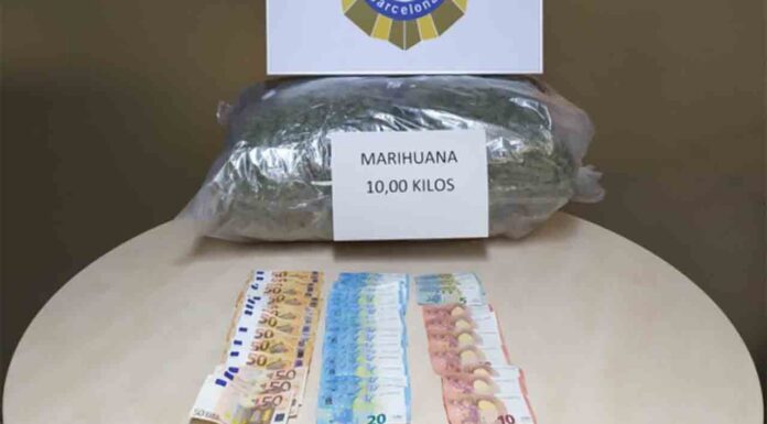 Detenidos al intentar enviar 10 kilos de marihuana por una empresa de transportes Detenidos al intentar enviar 10 kilos de marihuana por una empresa de transportes