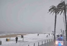 El Ayuntamiento activa el plan de emergencia por hielo y nieve El Ayuntamiento activa el plan de emergencia por hielo y nieve