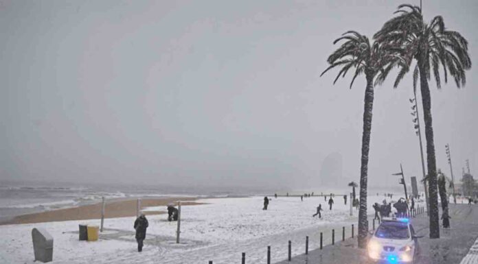 El Ayuntamiento activa el plan de emergencia por hielo y nieve El Ayuntamiento activa el plan de emergencia por hielo y nieve