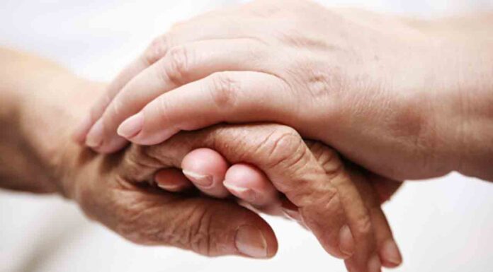 El Ayuntamiento impulsa talleres virtuales para los mayores El Ayuntamiento impulsa talleres virtuales para los mayores