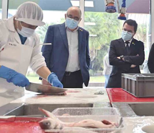 Mercabarna acogerá al Instituto de Alimentos de Barcelona Mercabarna acogerá al Instituto de Alimentos de Barcelona