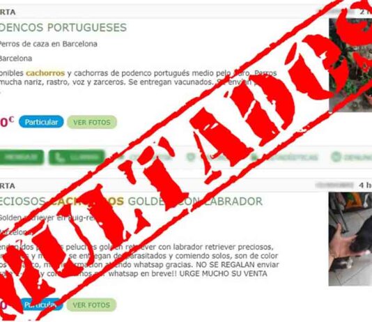 ‘Mil Anuncios’ paga 150.000 € de multa por la publicación de venta de animales 'Mil Anuncios' paga 150.000 € de multa por la publicación de venta de animales