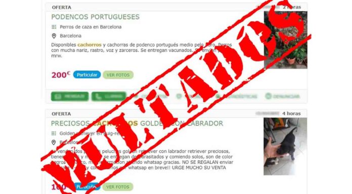 ‘Mil Anuncios’ paga 150.000 € de multa por la publicación de venta de animales 'Mil Anuncios' paga 150.000 € de multa por la publicación de venta de animales