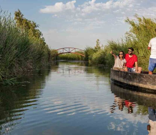 Bajan considerablemente las visitas a los espacios naturales de Catalunya Bajan considerablemente las visitas a los espacios naturales de Catalunya debido a la Covid
