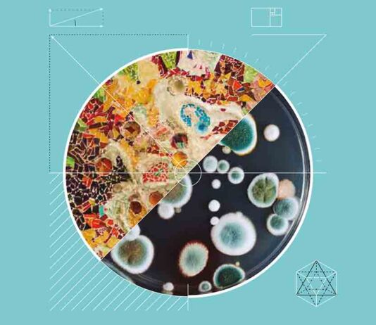 Barcelona celebrará la segunda edición de la Bienal Ciudad y Ciencia Barcelona celebrará la segunda edición de la Bienal Ciudad y Ciencia entre el 8 y el 13 de junio