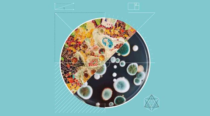 Barcelona celebrará la segunda edición de la Bienal Ciudad y Ciencia Barcelona celebrará la segunda edición de la Bienal Ciudad y Ciencia entre el 8 y el 13 de junio