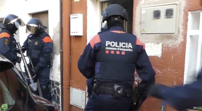 Cinco detenidos en un día por plantaciones de marihuana Cinco detenidos en un día por plantaciones de marihuana