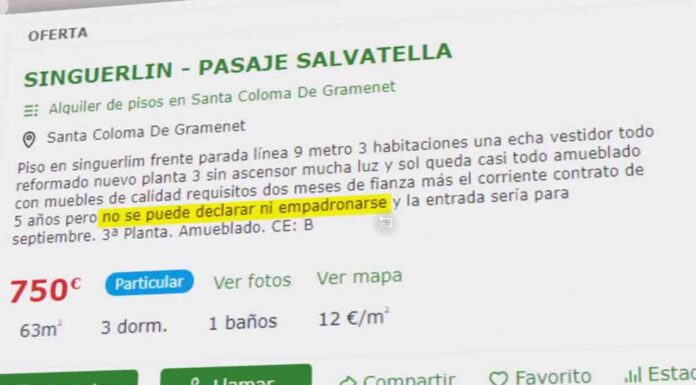 Detectados 800 anuncios de alquiler que niegan el derecho al padrón Detectados 800 anuncios de alquiler que niegan el derecho al padrón