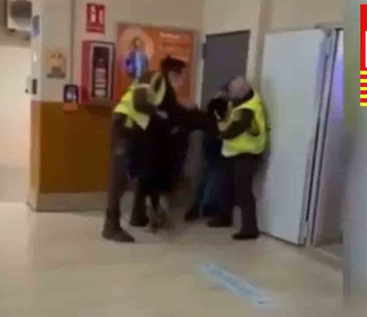 Vídeo: Detienen a un carterista en la Estación del Norte con un perro de seguridad Detienen a un carterista en la Estación del Norte con un perro de seguridad