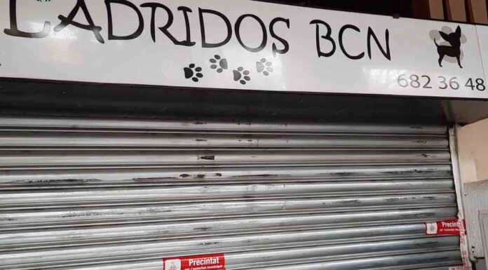 Precintada la tienda ‘Ladridos’ por las graves deficiencias Precintada la tienda 'Ladridos' por las graves deficiencias