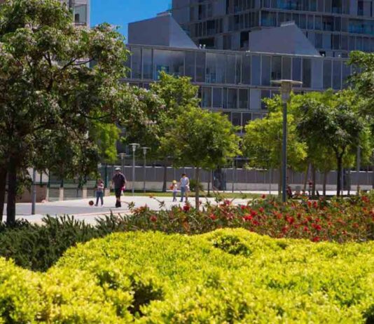 El Parque de Diagonal Mar, nuevo refugio de biodiversidad de la ciudad El Parque de Diagonal Mar ya acoge un refugio de la biodiversidad