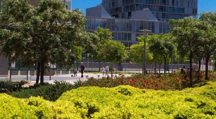El Parque de Diagonal Mar, nuevo refugio de biodiversidad de la ciudad El Parque de Diagonal Mar ya acoge un refugio de la biodiversidad