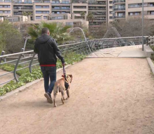 Expulsan a los perros del Parc Diagonal Mar Expulsan a los perros del Parc Diagonal Mar