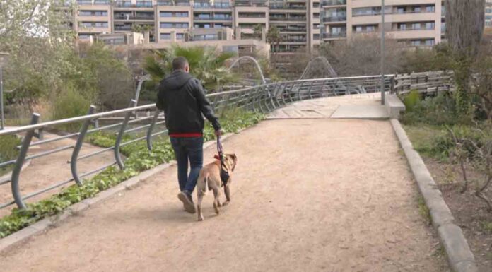 Expulsan a los perros del Parc Diagonal Mar Expulsan a los perros del Parc Diagonal Mar