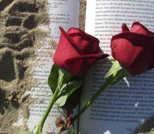 Mercabarna-flor estima la venta de flores por Sant Jordi en 4,2 millones Mercabarna-flor estima la venta de flores por Sant Jordi en 4,2 millones