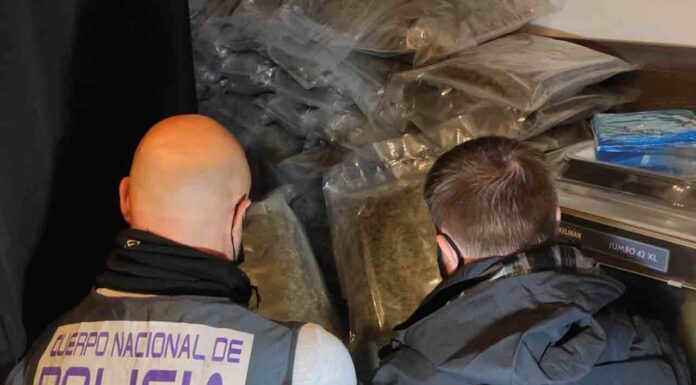 Una organización de tráfico de drogas operaba desde un taller mecánico Una organización de tráfico de drogas operaba desde un taller mecánico