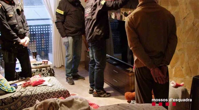 7 detenidos por la muerte de un hombre en el asalto a una plantación de marihuana 7 detenidos por la muerte de un hombre en el asalto a una plantación de marihuana