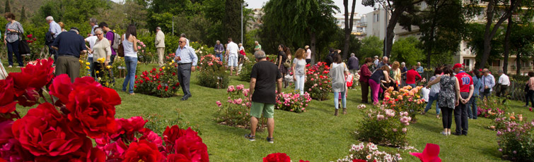 Barcelona celebra el 21 Concurso Internacional de Roses Noves