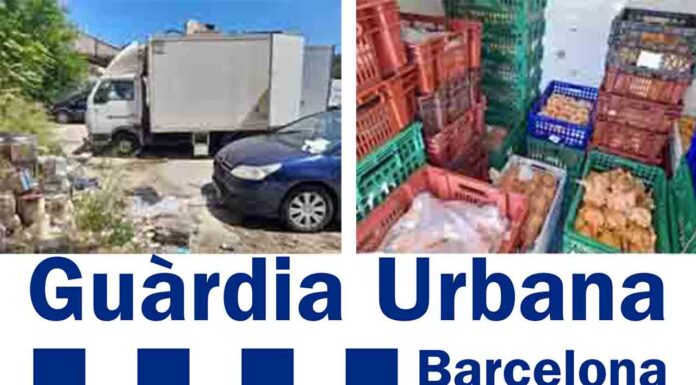 La Guardia Urbana interviene más de 1.000 kilos de carne en mal estado La Guardia Urbana interviene más de 1.000 kilos de carne en mal estado