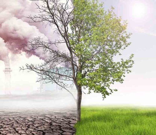 La ciencia responde a la emergencia climática La ciencia responde a la emergencia climática