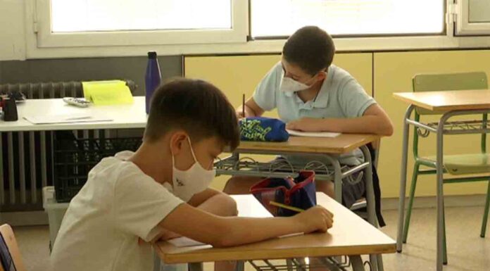 Proyecto para el nuevo instituto escuela Rec Comtal en Trinitat Vella Proyecto para el nuevo instituto escuela Rec Comtal en Trinitat Vella