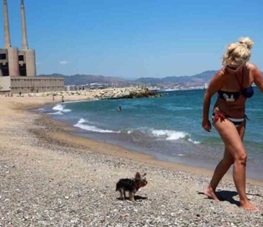 Sant Adrià de Besòs cierra la playa por riesgo de contaminación Sant Adrià de Besòs cierra la playa por riesgo de contaminación