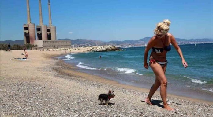 Sant Adrià de Besòs cierra la playa por riesgo de contaminación Sant Adrià de Besòs cierra la playa por riesgo de contaminación